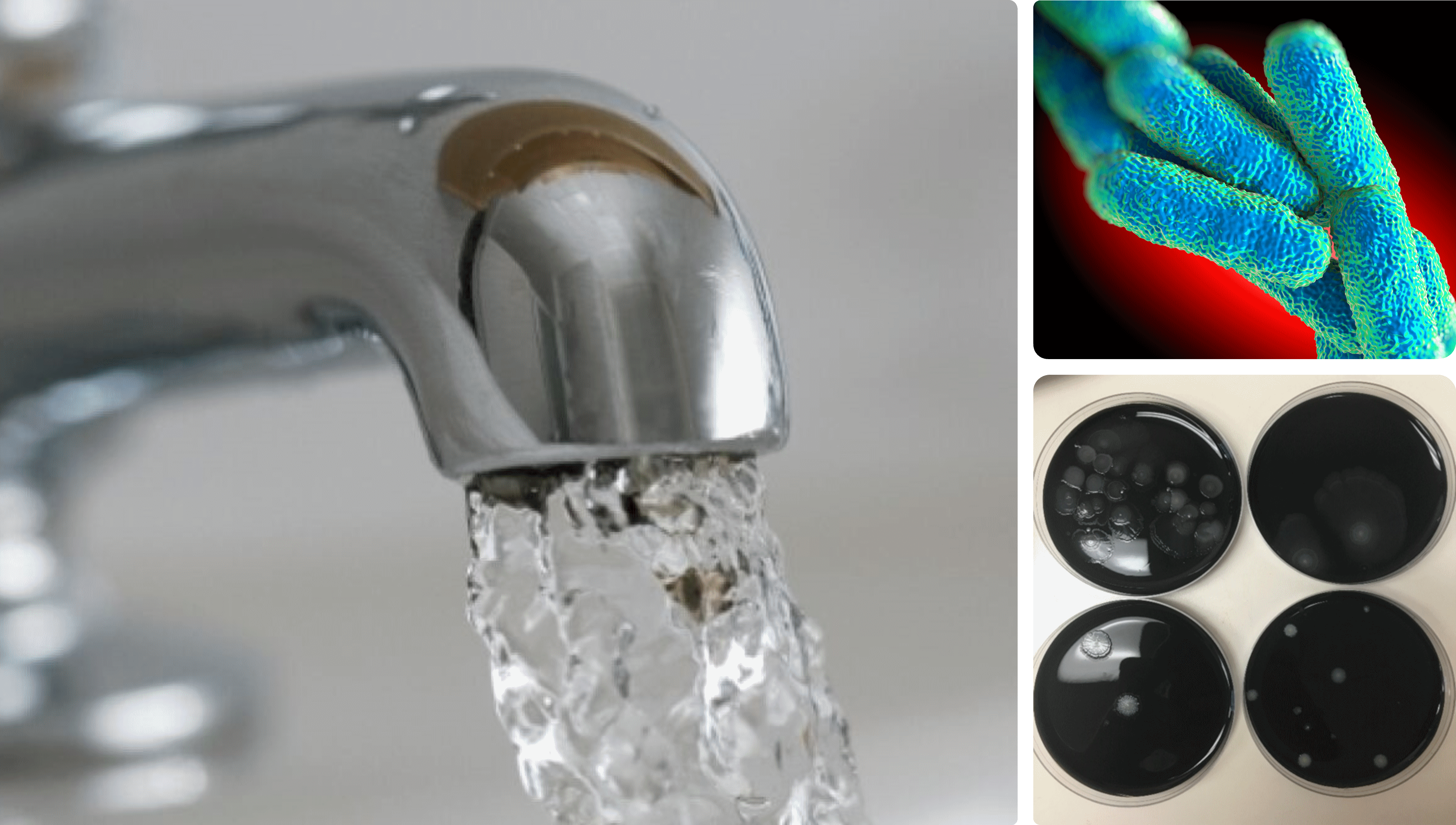 Drinking Water Legionella Bacteria